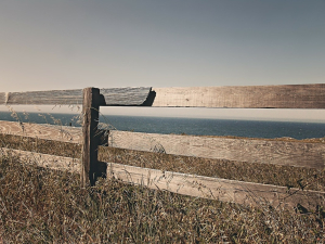 south florida fence on coast